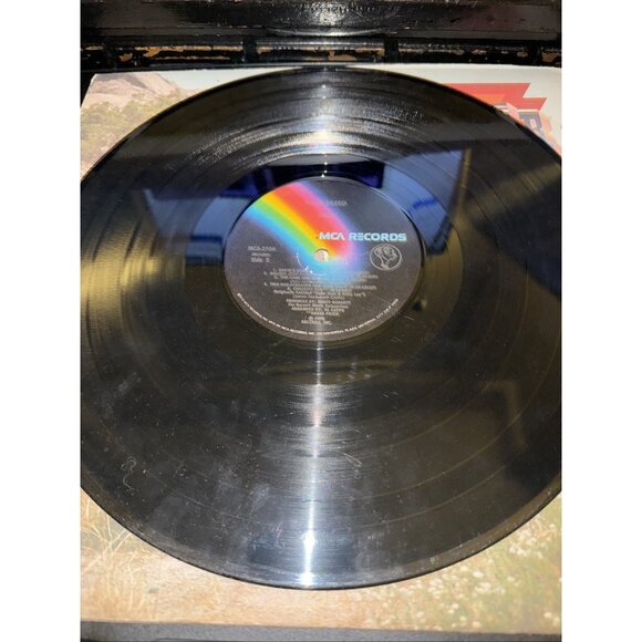 Cher Half-Breed Vinyl LP 1973 First Press - MCA Records MCA - Picture 8 of 8